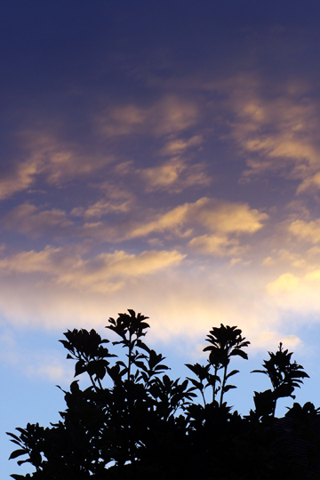 夕空1126