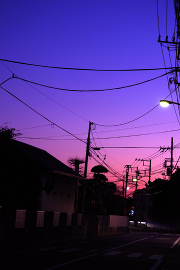 雲がなかったです。そんな日の夕暮れ。