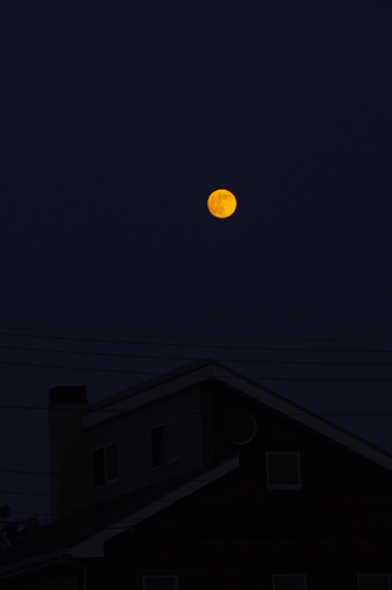 十五夜の望月、撮れました。