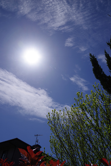 青空2018.4.15