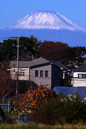 富士山1109