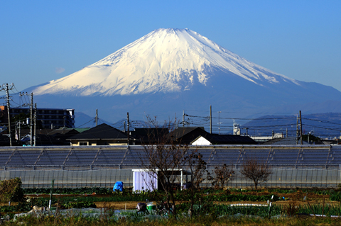 一昨日の富士山です。