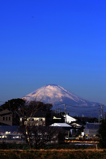 一ヶ月ぶりに小出河畔までお散歩しました。