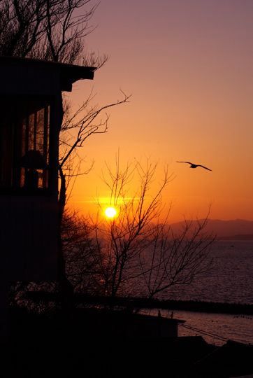 函館湾の夕暮れ2007.1.5