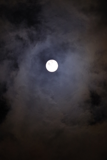 一昨日の夜中に撮った満月です。