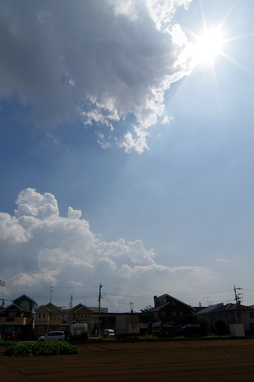 すっかり夏空が戻ってきましたね。