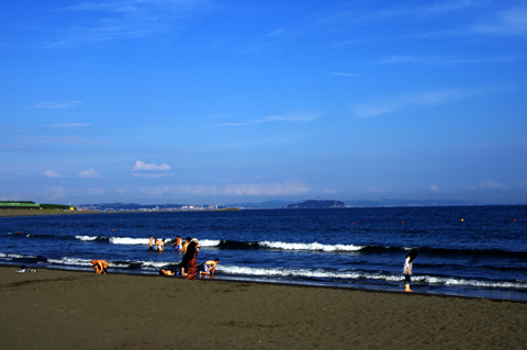 浜辺の歌。