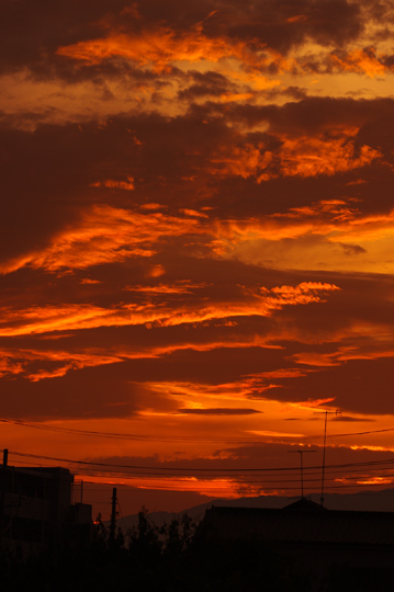 初夏らしい夕焼け空撮れました。