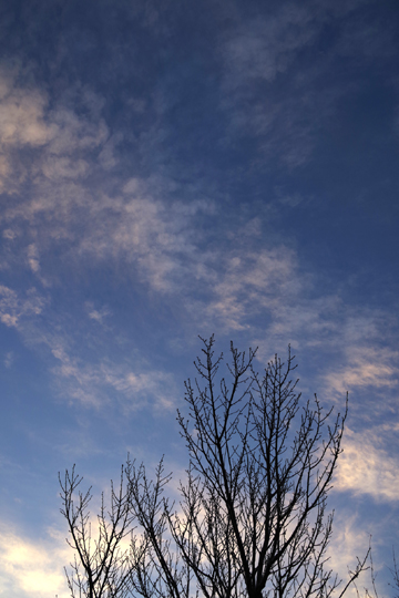 今日の夕空です。