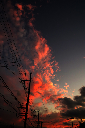 今夕の雲は複雑で、多彩な色あいに染まりました。