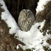 「銀河写真館」